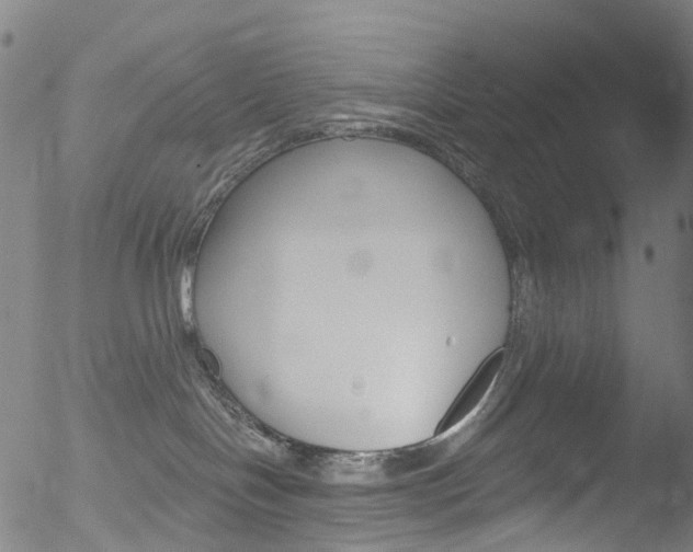 X0000052570094200507010856