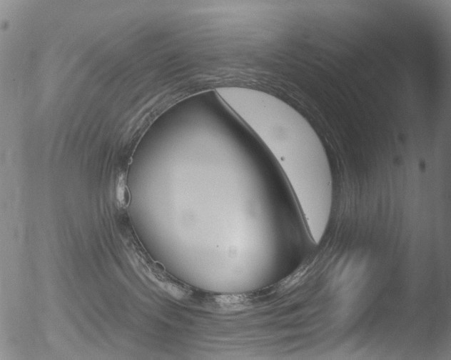 X0000052570095200507010856