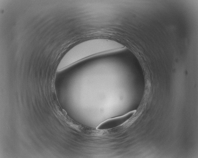 X0000052570096200507010856