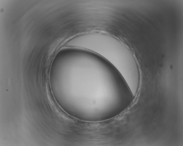 X0000052570097200507010855