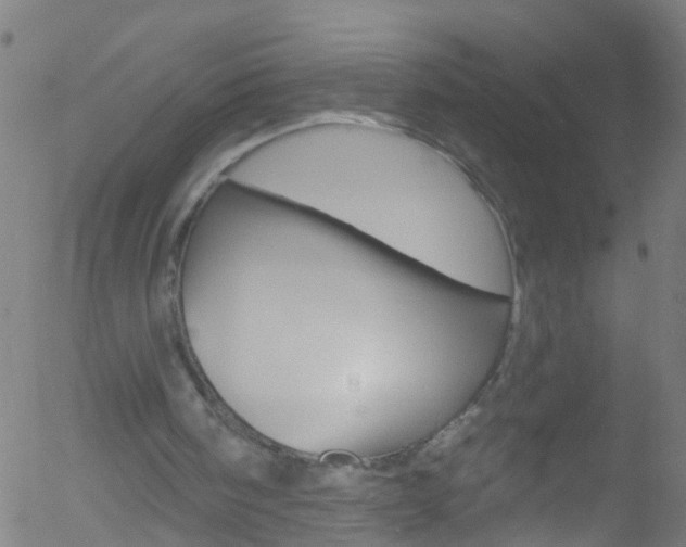 X0000052570098200507010855