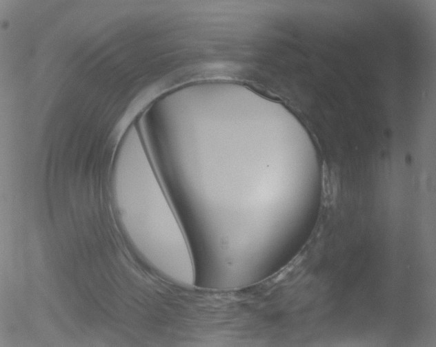 X0000052570099200507010855