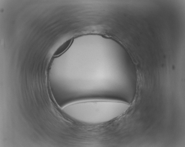 X0000052570100200507010855