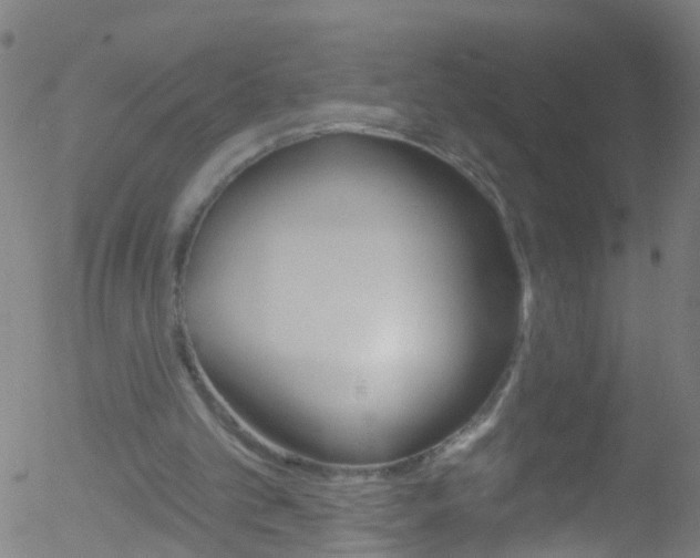 X0000052570101200507010855