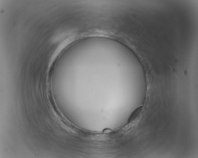 X0000052570102200507010855