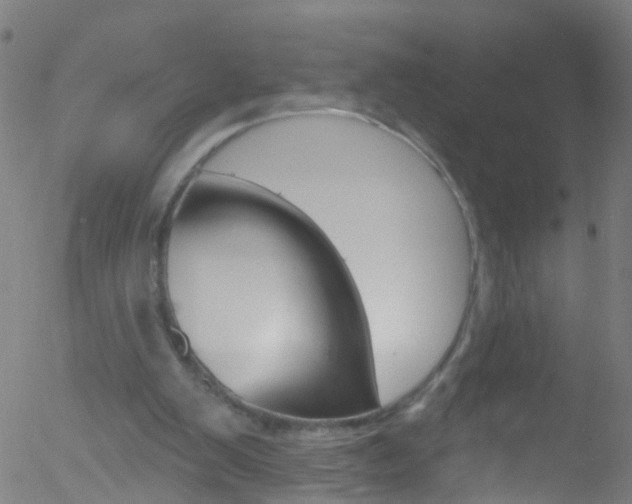 X0000052570103200507010855