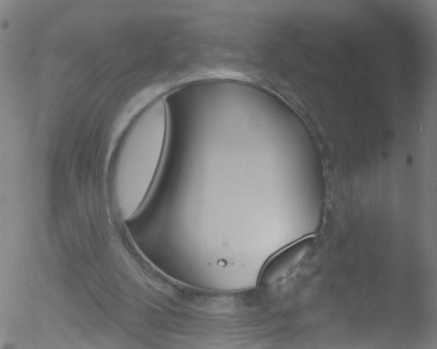 X0000052570104200507010855