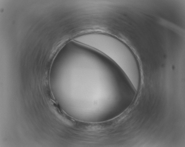 X0000052570105200507010855