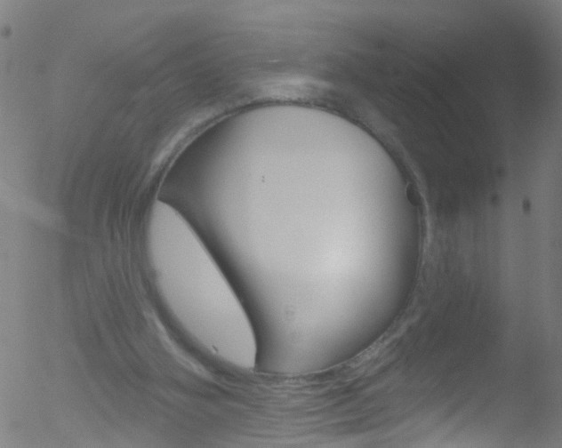 X0000052570106200507010855