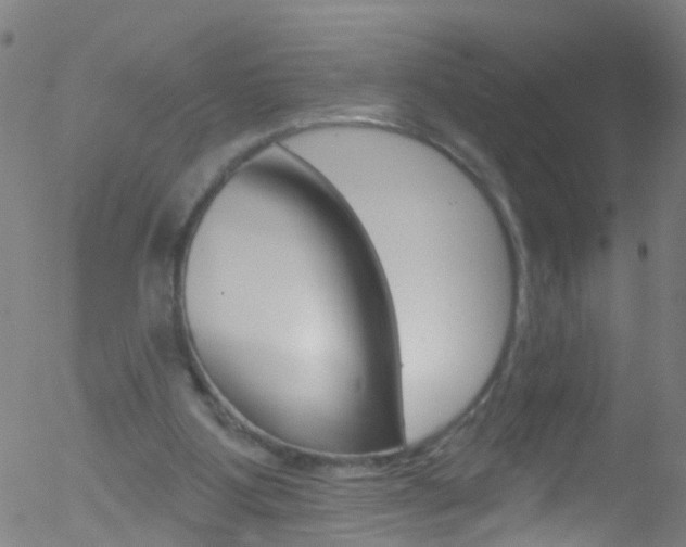 X0000052570107200507010855