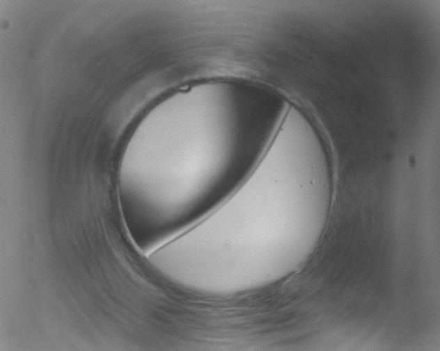 X0000052570108200507010855