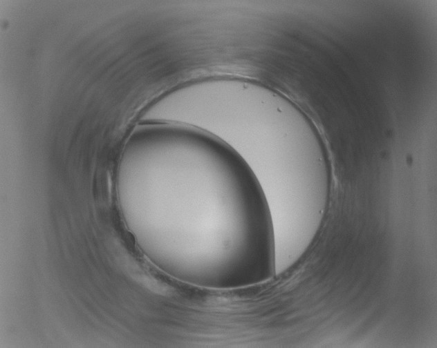 X0000052570109200507010855