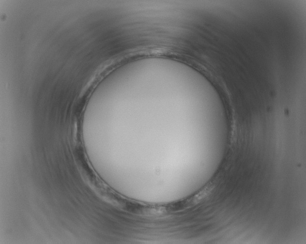 X0000052570110200507010855