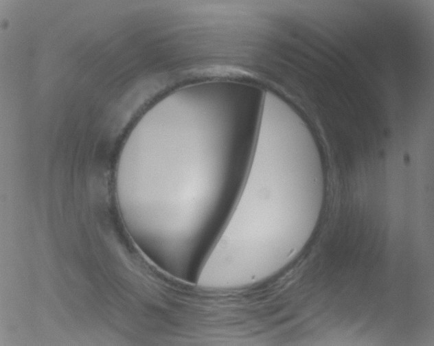 X0000052570111200507010855