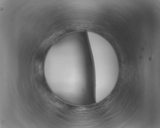 X0000052570123200507010854