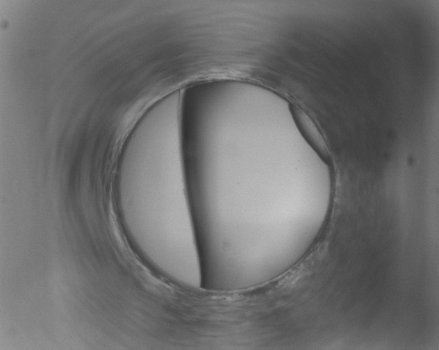 X0000052570145200507010853