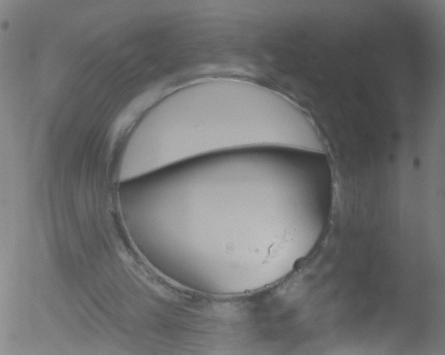 X0000052570149200507010853