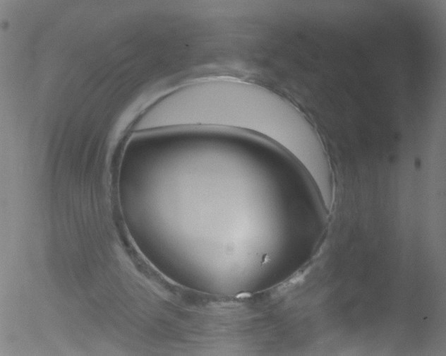 X0000052570150200507010853