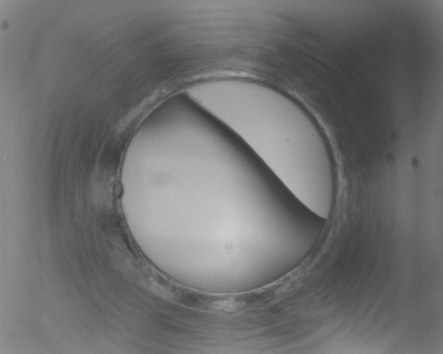 X0000052570153200507010853