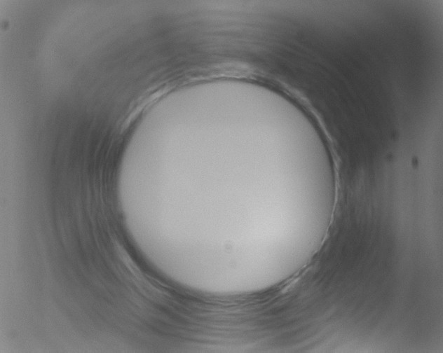 X0000052570154200507010853