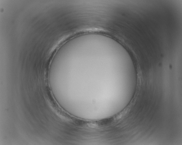 X0000052570159200507010853