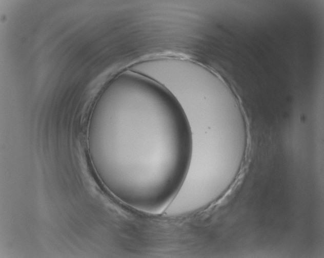 X0000052570193200507010853