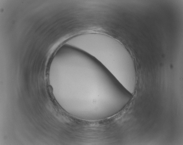 X0000052570196200507010853