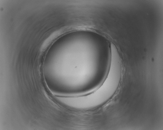 X0000052570197200507010853