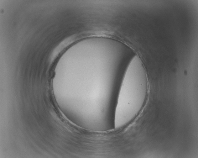 X0000052570198200507010853