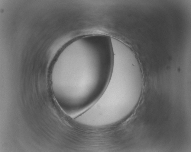 X0000052570200200507010853