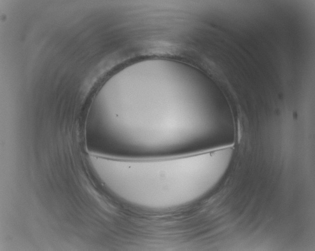 X0000052570204200507010853