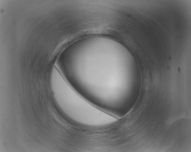 X0000052570207200507010853