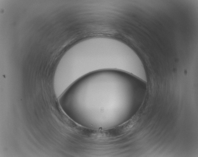 X0000052570211200507010853