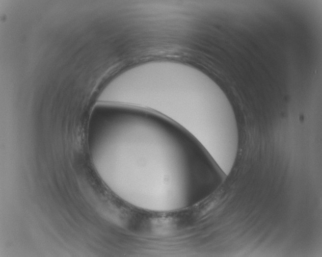 X0000052570216200507010853