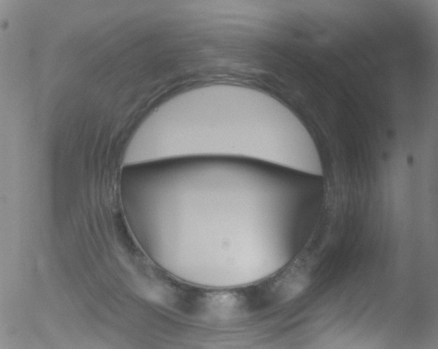 X0000052570218200507010853