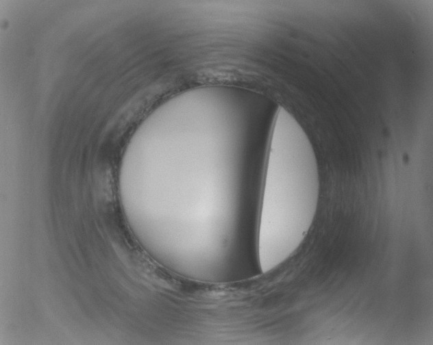 X0000052570224200507010853