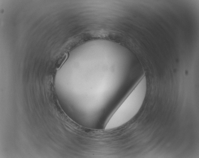 X0000052570229200507010853