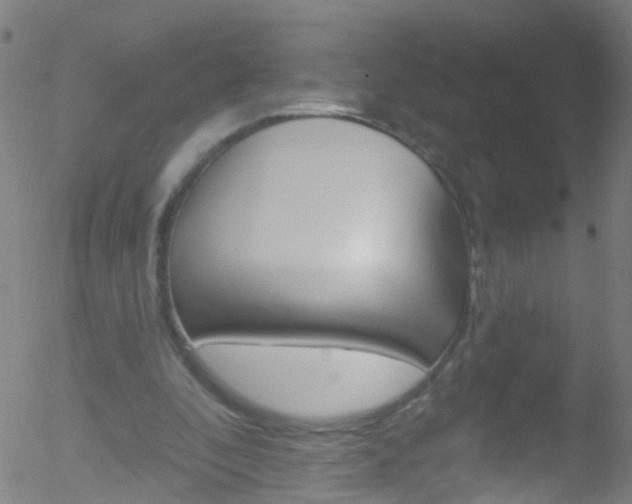 X0000052570296200507010851