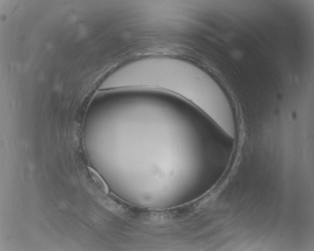 X0000052570305200507010851