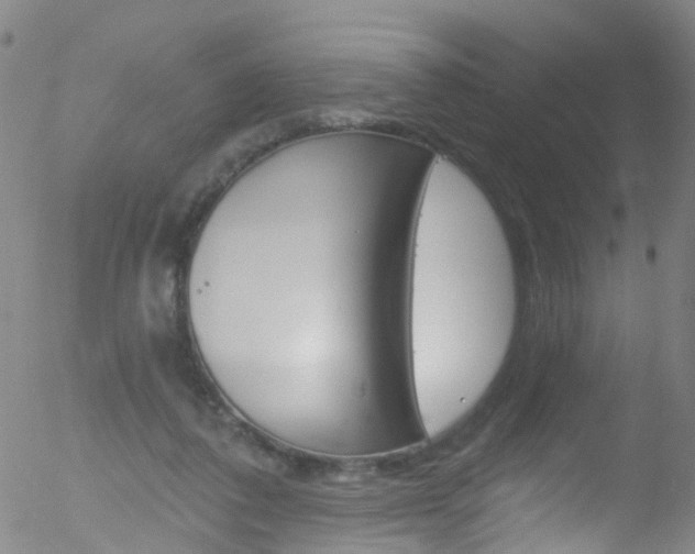 X0000052570308200507010851