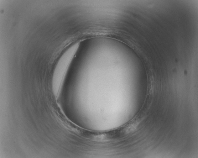 X0000052570309200507010851