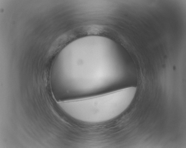 X0000052570311200507010851