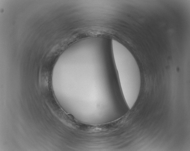 X0000052570315200507010851