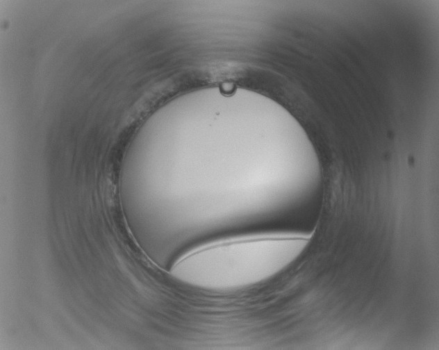 X0000052570316200507010851