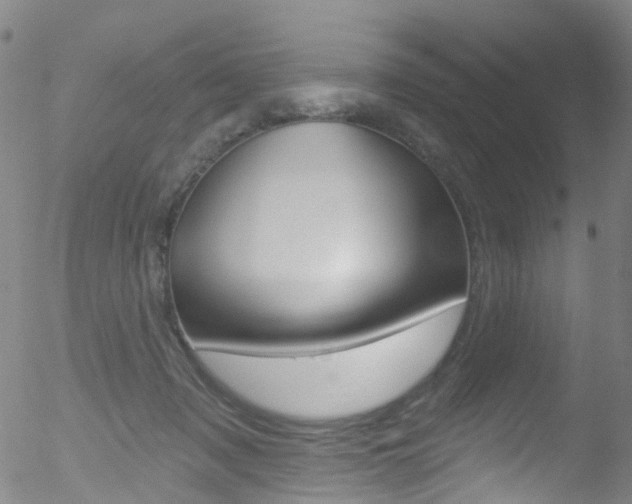 X0000052570317200507010851