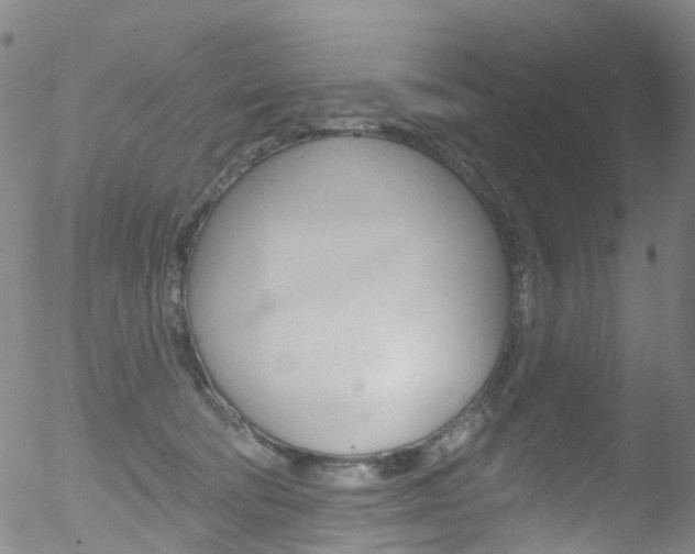 X0000052570322200507010851