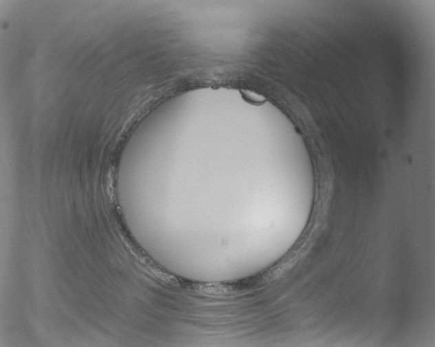 X0000052570336200507010851