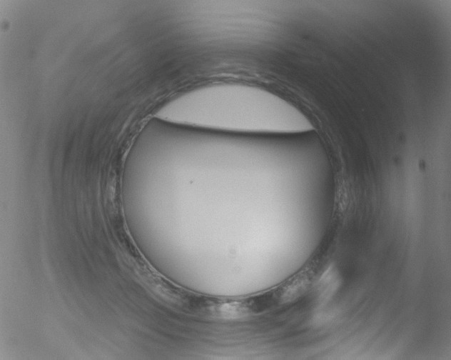 X0000052570365200507010851