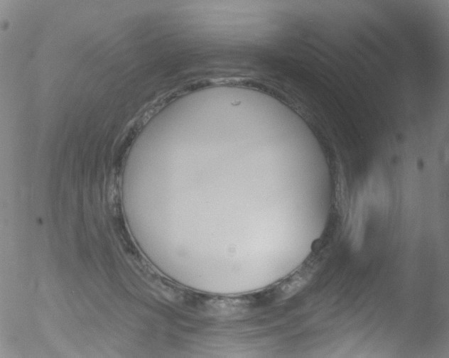 X0000052570367200507010851