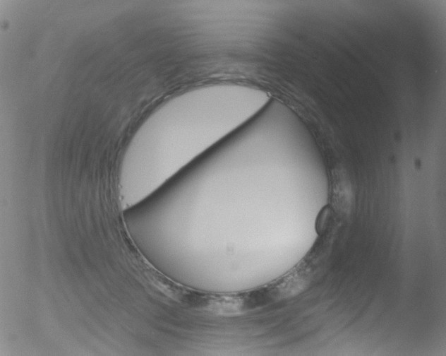 X0000052570369200507010851